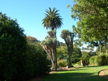 Adelaide Botanischer Garten