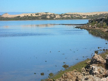 Coorong NP