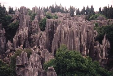 Stone forest