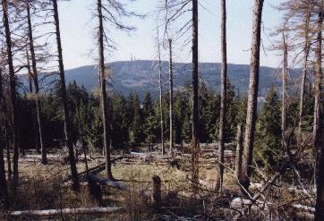 Gro&szlig;er Feldberg