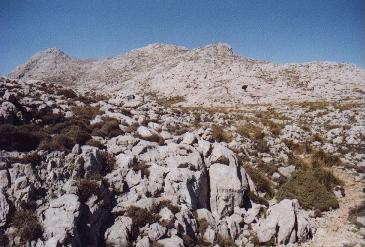 Gipfel des Puig Massanella