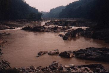 Niedrigwasser am Rajang
