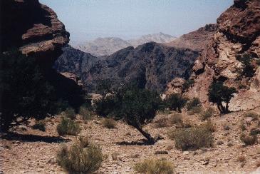 Landschaft in Petra