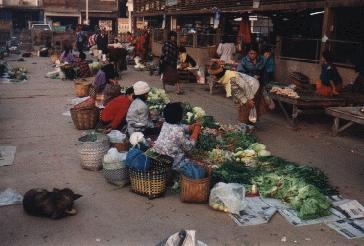 Nong Khai