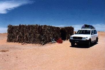 W&uuml;sten-Caf&eacute;