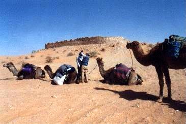 Ruine von Ksar Ghilane