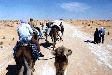 Karawane auf der Piste